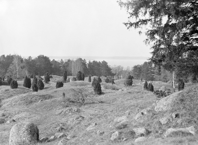 Viking age grave field in Uppland, Sweden (image from Wikimedia Commons)