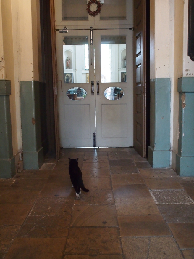 Schrödinger the cat waits outside the church doors